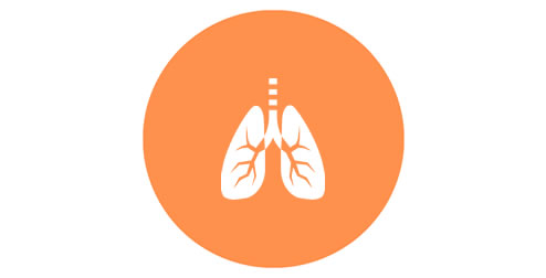 Espirometría